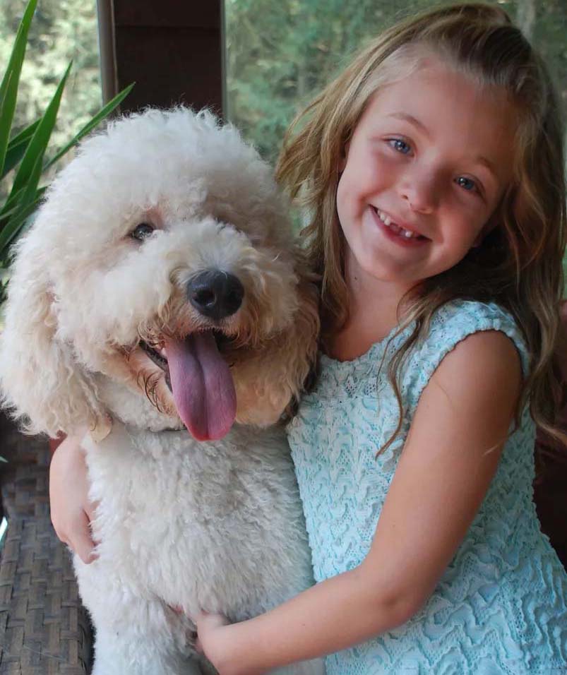 Child with Labradoodle puppies in NH