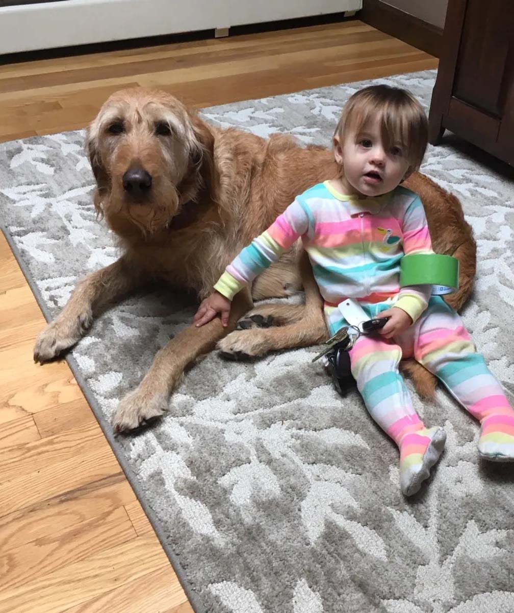 Child with Labradoodle dog in NH