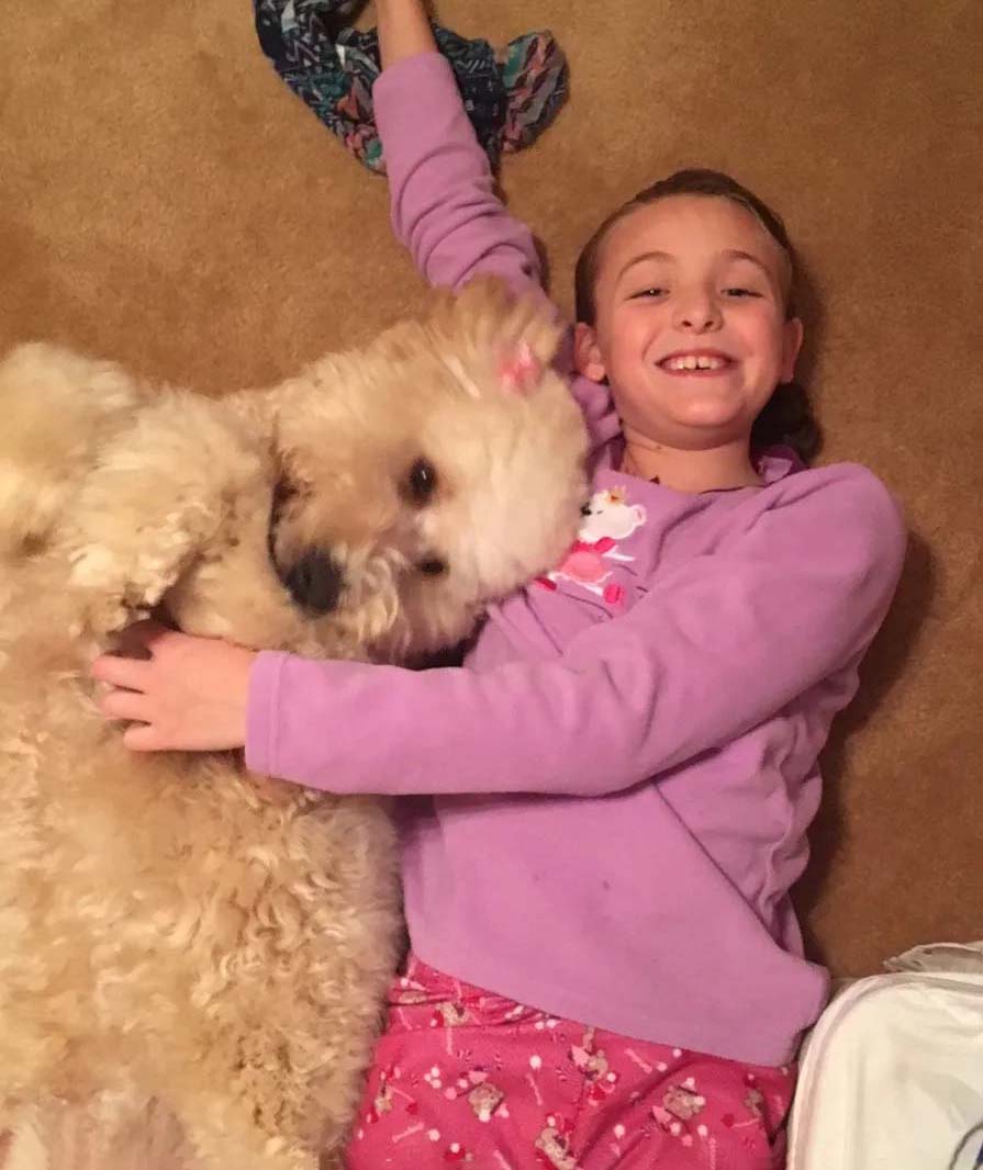 Child with Labradoodle dog in NH